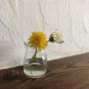 ふじとも