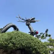 Ryū⭐︎の画像