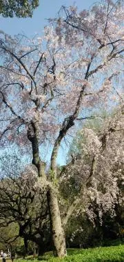 222の画像