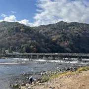 とんかつの画像