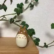 つくつくの画像