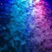 ダイアナ　CACURE メイクブラシフルセット ブラック ダイアナ CACURE メイクブラシフルセット ブラック - メルカリ