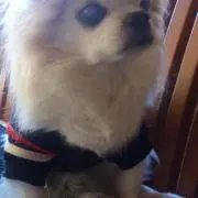 あやルーク