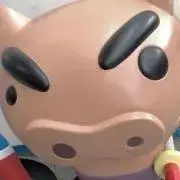 兎の画像