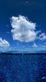 yaiの画像
