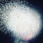 Mの画像