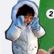 さくらんぼの画像