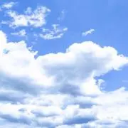 あひの画像