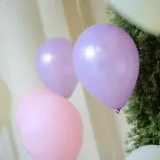 やっこっこの画像