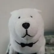 FFの画像