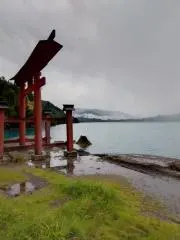にゃくりんの画像