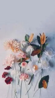 y.の画像