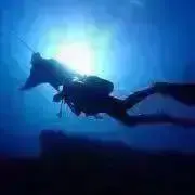 ウォンパーの画像