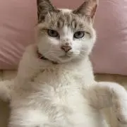 まるまる※プロフィール必読※の画像