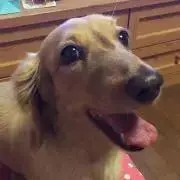 kananaの画像