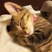 まぁま☆まま☆