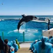 AKEの画像