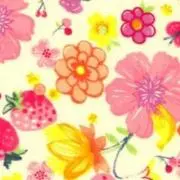 ☆Sachi-ann☆の画像