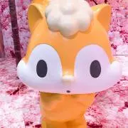 s♡即購入大歓迎の画像