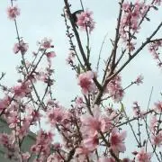 断捨離します！！