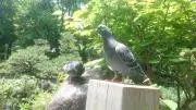 こととの画像