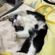 y0uの画像