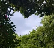 mocoの画像