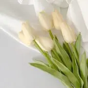 USAGI*の画像