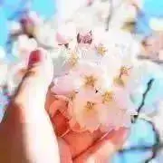 花結の画像