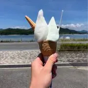 Rの画像
