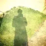 FONDの画像