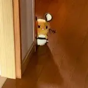 しゅんの画像
