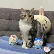 ちぃ