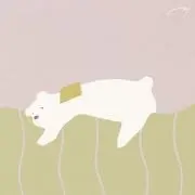 miiの画像