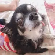 乃唯mama♡