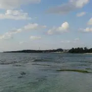 まさと
