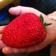 つーさん