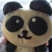 ぽんたの画像