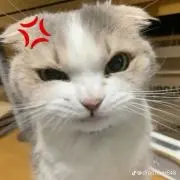 ババ