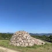 lingziの画像