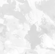 Rの画像