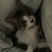 ちんゆー