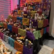 Mexican 24時間以内発送の画像