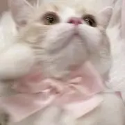 .る プロフ必読 セール中の画像