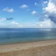 Rの画像