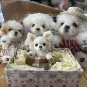 かぉりん♪