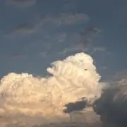 あーの画像