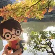 ユラ(7/16-27不在、7/27後発送の画像