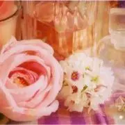 り ぼ ん ♡ り ぼ ん