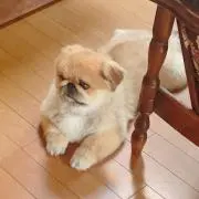 Mamiの画像